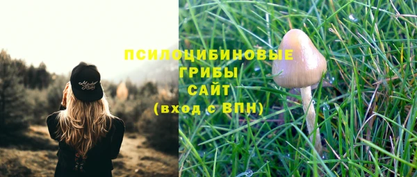 ALPHA PVP Баксан